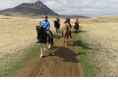 Iceland -Ride, Hot Springs and Whales!